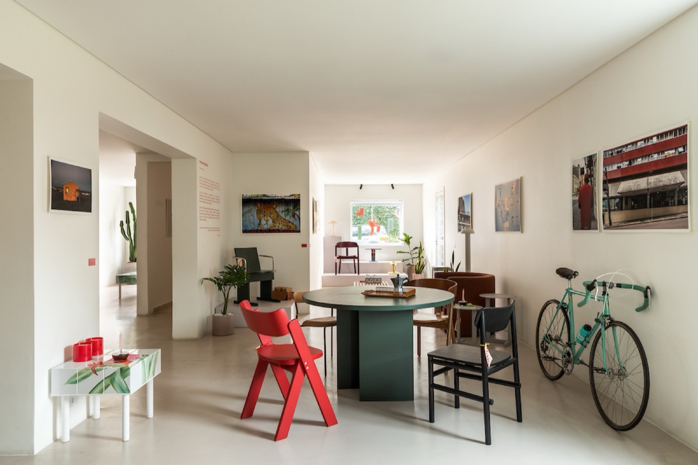 latino casa — mobiliário autoral